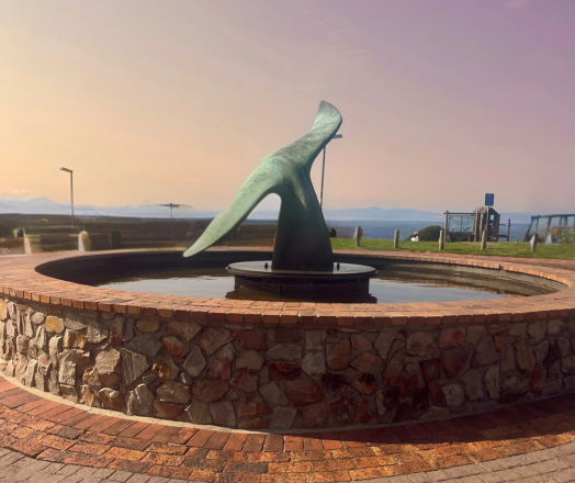 Personalised Western Cape Tours & Itineraries