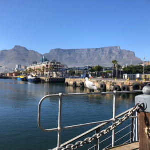 First Time in Cape Town
